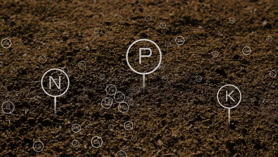 Image hover effect image